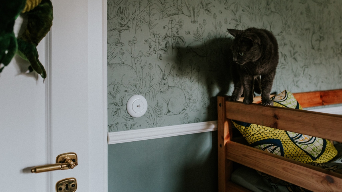 Czarny kot na tle tapety w pokoju dziecięcym chłopców